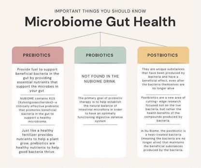 Pharmanex Nu Biome – Gut Health PINK DRINK